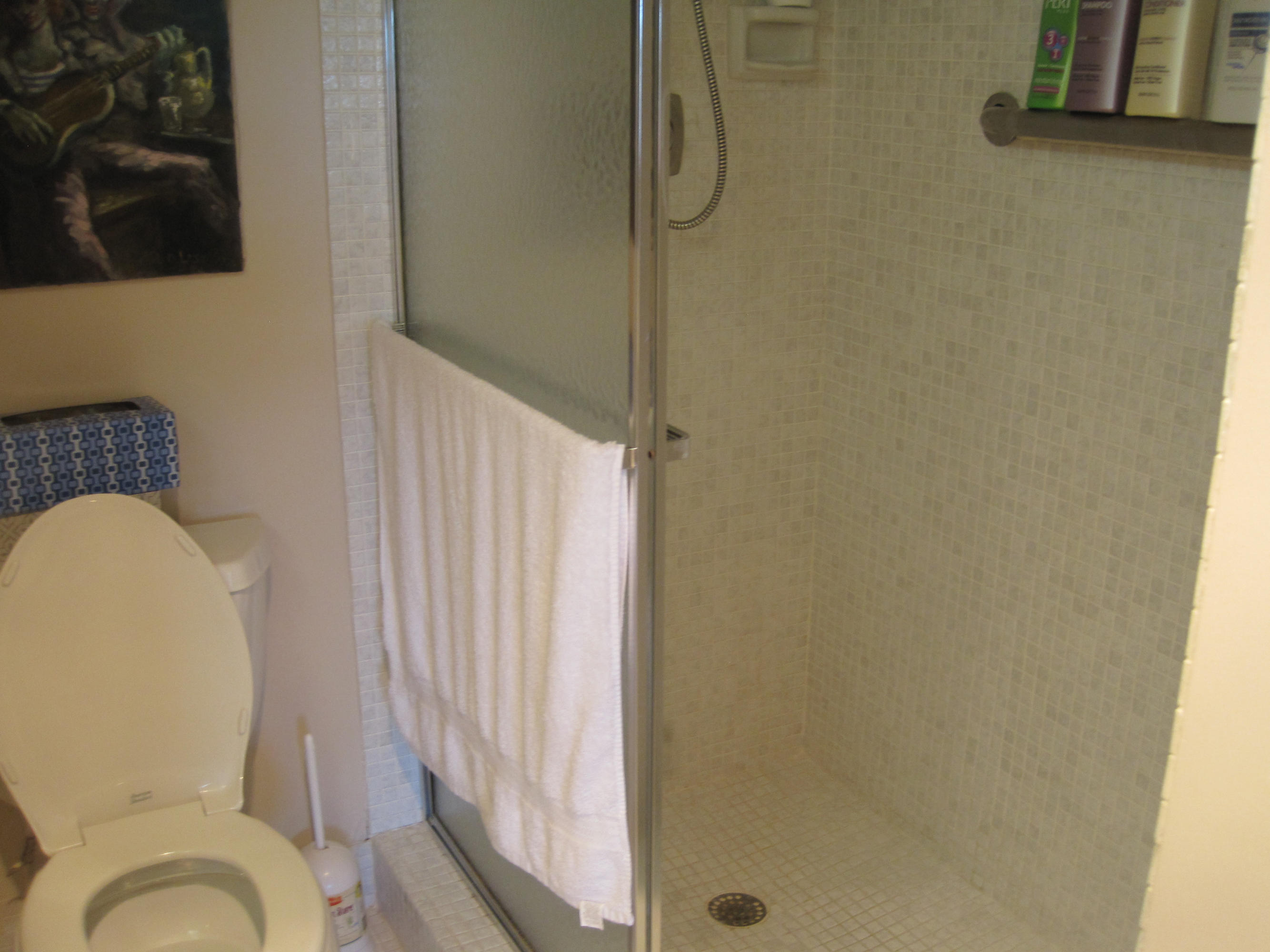 2030 Rexford B, Unit 2030 Boca Raton, FL 33434 - Photo 9 of 13 Stall shower