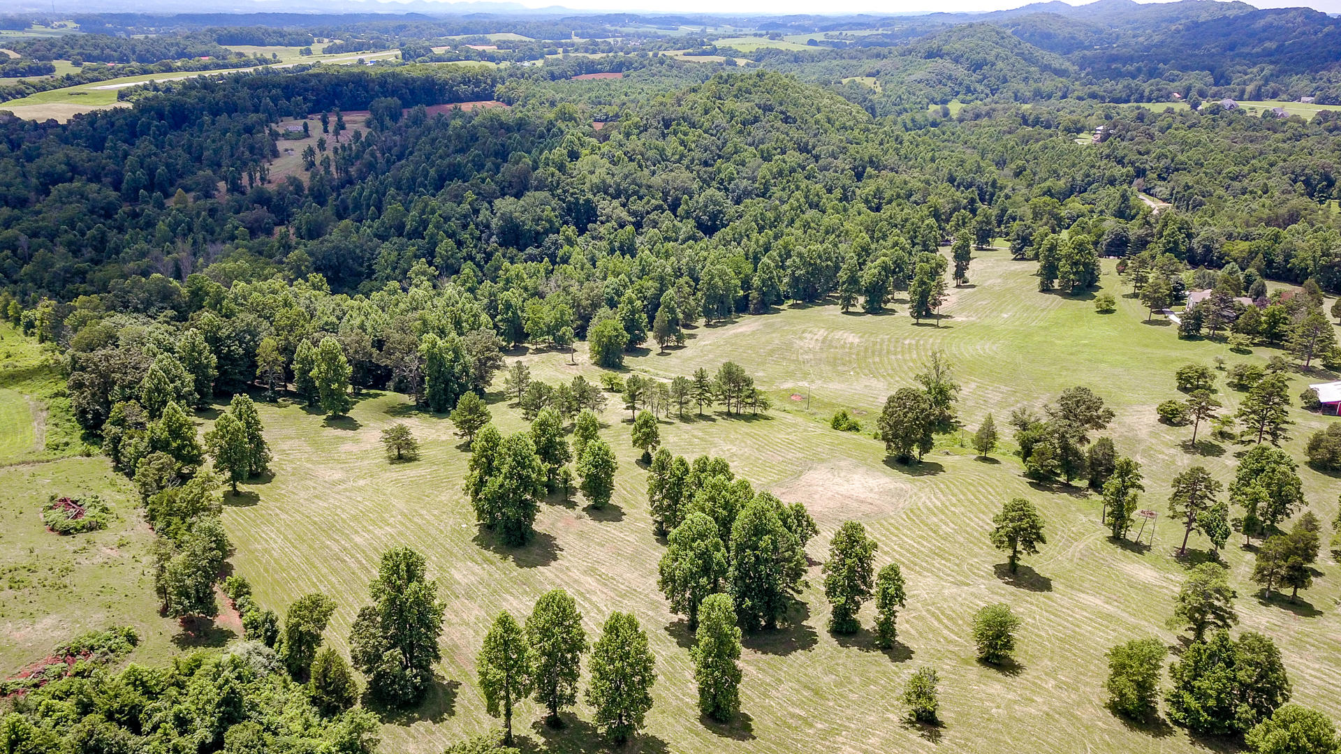 4 Brunner Road Sweetwater, TN 37874 - Photo 1 of 17 DSC1930-15