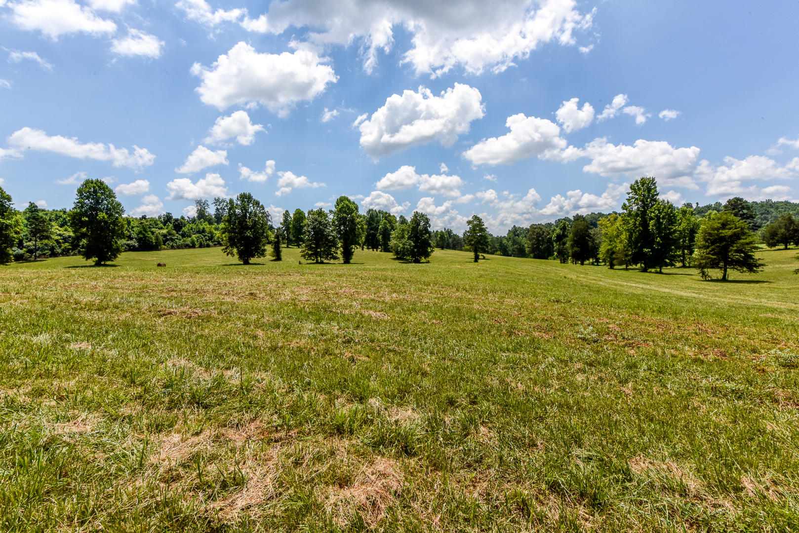 4 Brunner Road Sweetwater, TN 37874 - Photo 2 of 17 _DSC9245