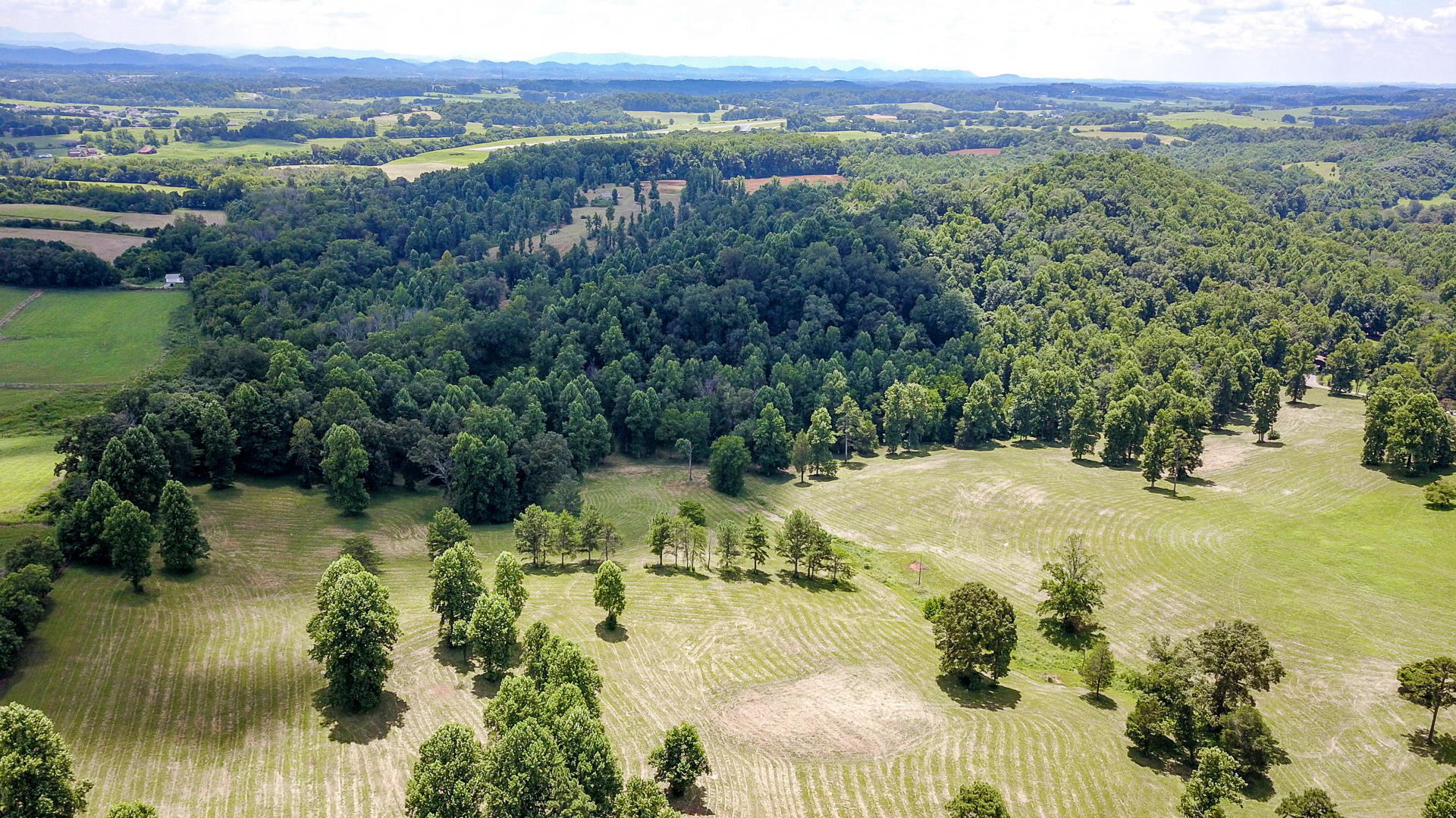 4 Brunner Road Sweetwater, TN 37874 - Photo 13 of 17 DSC1930-14