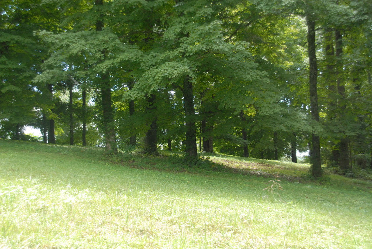 4 Brunner Road Sweetwater, TN 37874 - Photo 16 of 17 Brunner Rd #4