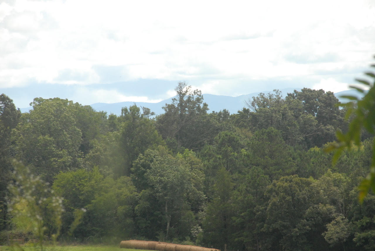 4 Brunner Road Sweetwater, TN 37874 - Photo 17 of 17 Brunner Mountain #4