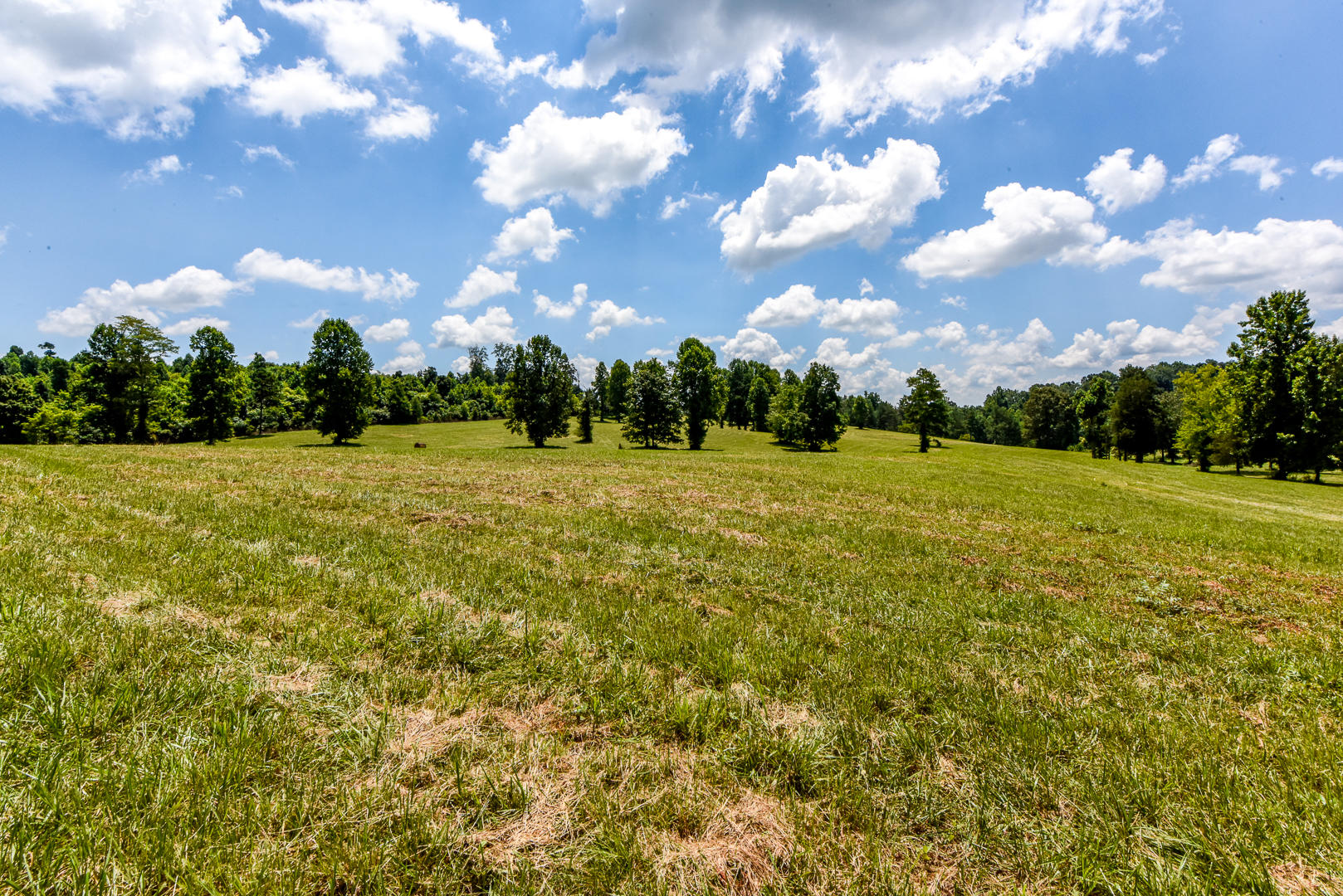 4 Brunner Road Sweetwater, TN 37874 - Photo 3 of 17 _DSC9246