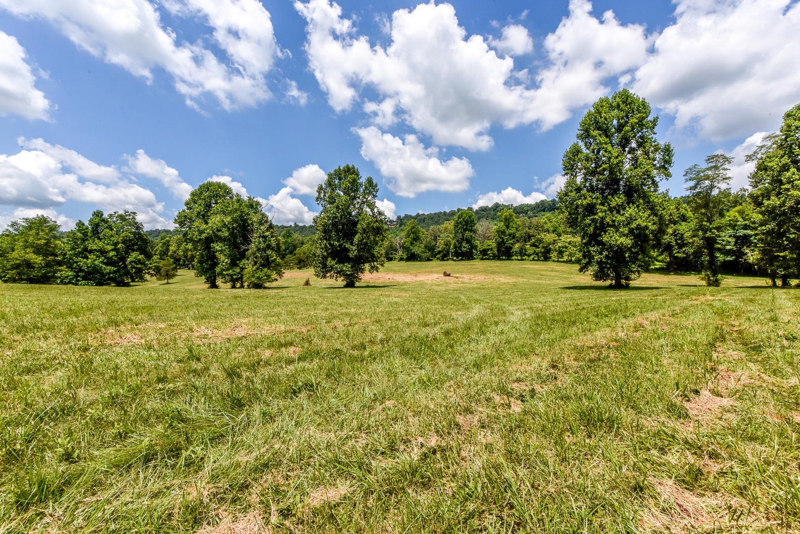 4 Brunner Road Sweetwater, TN 37874 - Photo 4 of 17 _DSC9249