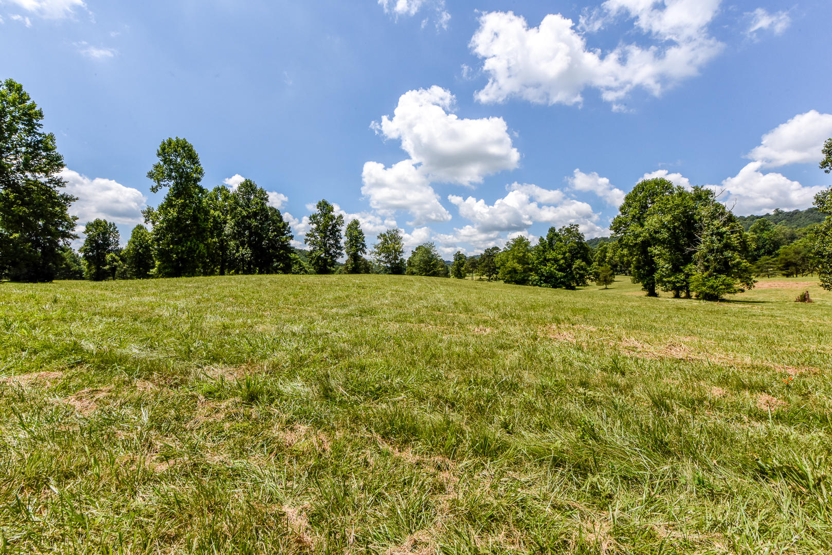 4 Brunner Road Sweetwater, TN 37874 - Photo 5 of 17 _DSC9251