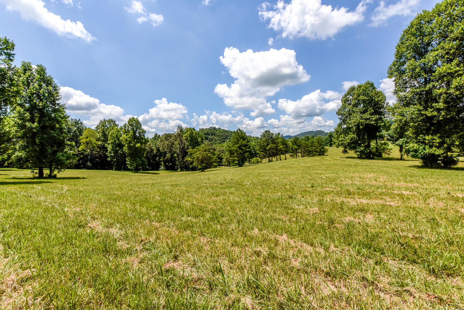 4 Brunner Road Sweetwater, TN 37874 - Photo 6 of 17 _DSC9252