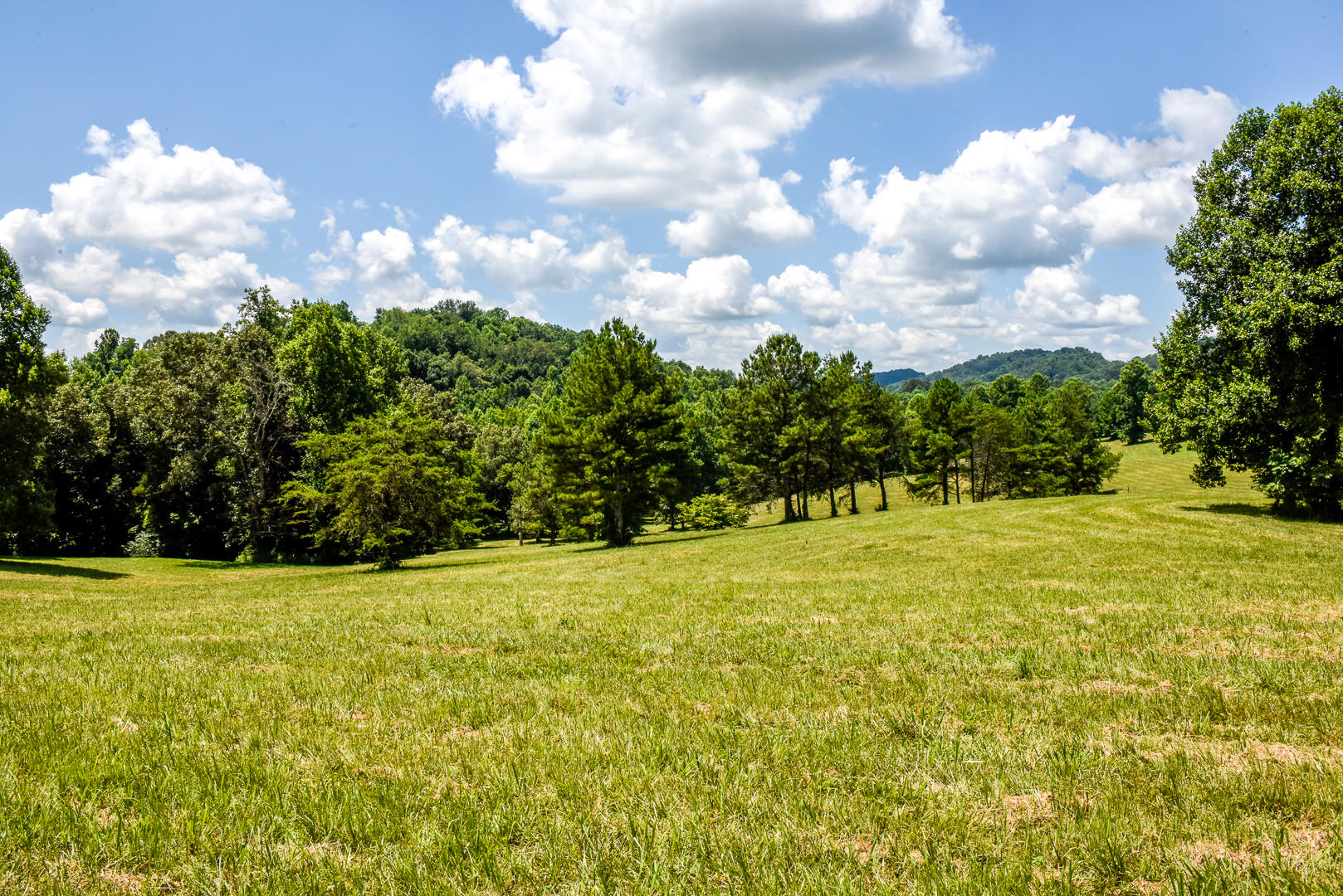 4 Brunner Road Sweetwater, TN 37874 - Photo 7 of 17 _DSC9254
