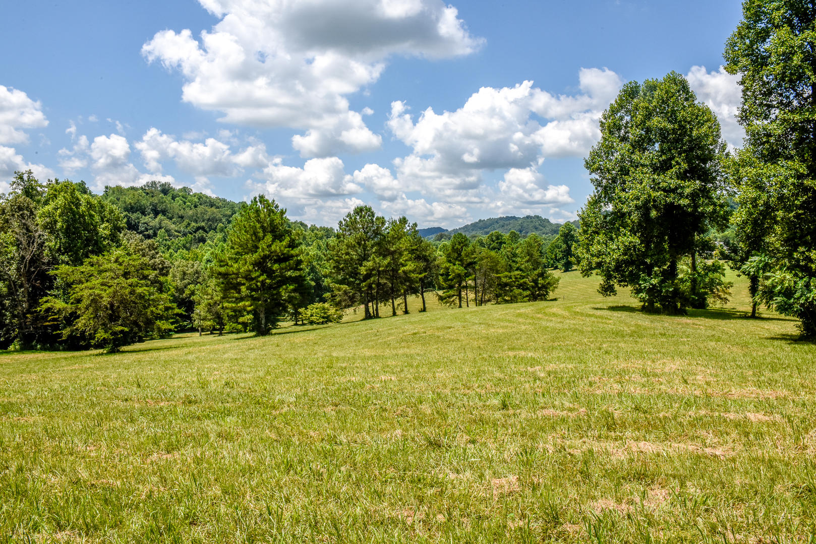 4 Brunner Road Sweetwater, TN 37874 - Photo 8 of 17 _DSC9255