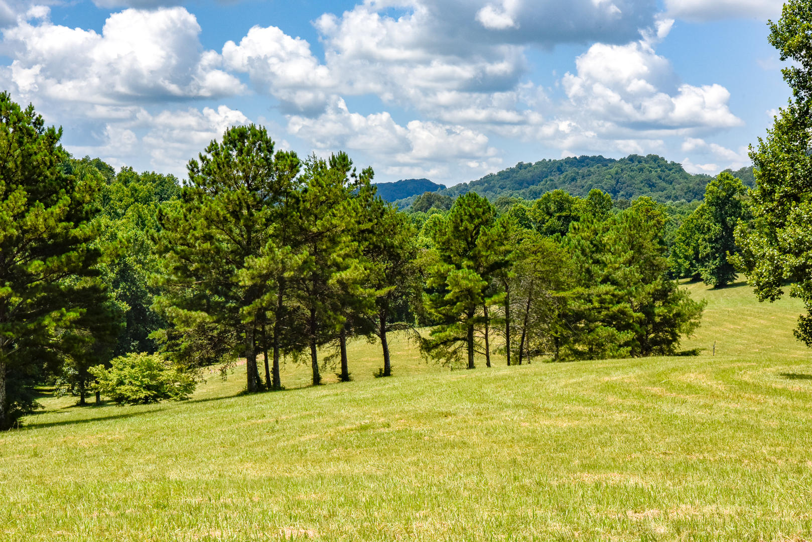 4 Brunner Road Sweetwater, TN 37874 - Photo 9 of 17 _DSC9256