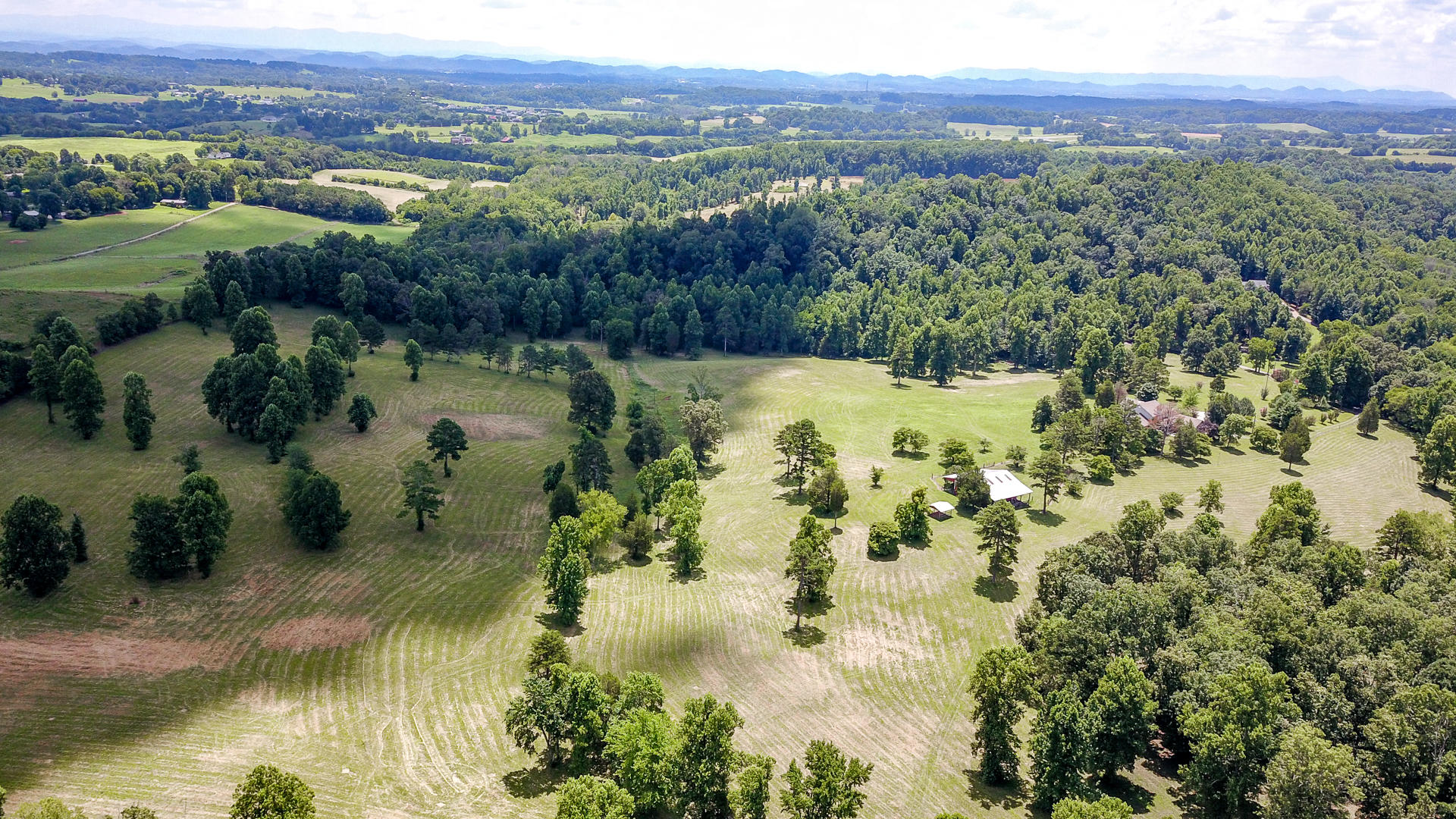4 Brunner Road Sweetwater, TN 37874 - Photo 10 of 17 DSC1930-11