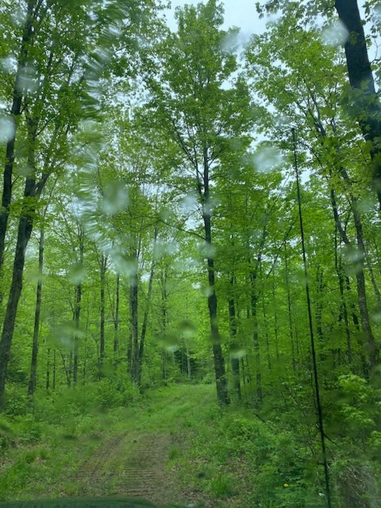 111 State Highway 111 Catawba, WI 54515 - Photo 1 of 1