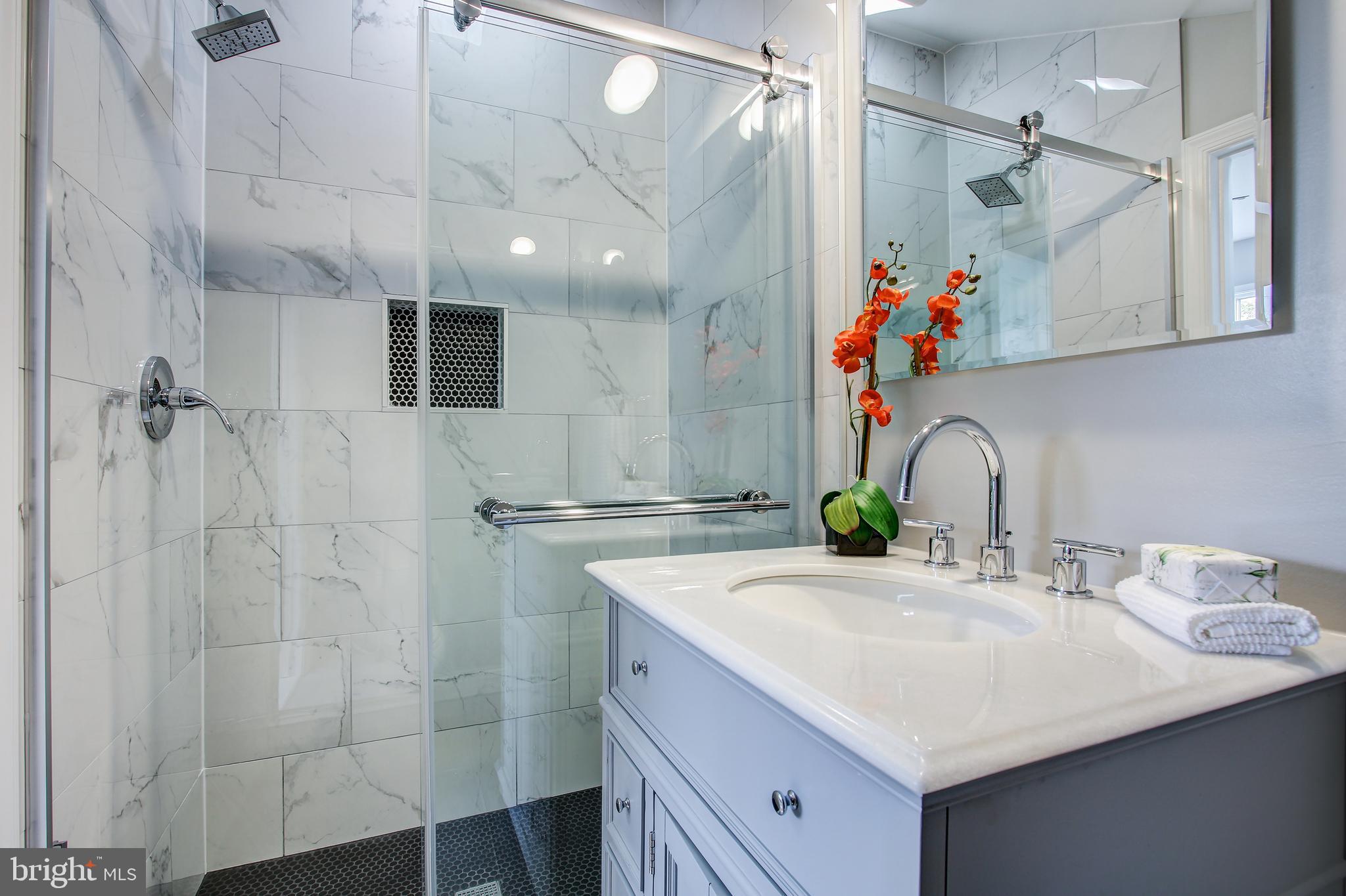 10004 Quinby Street Silver Spring, MD 20901 - Photo 29 of 40 Beautiful ensuite shower