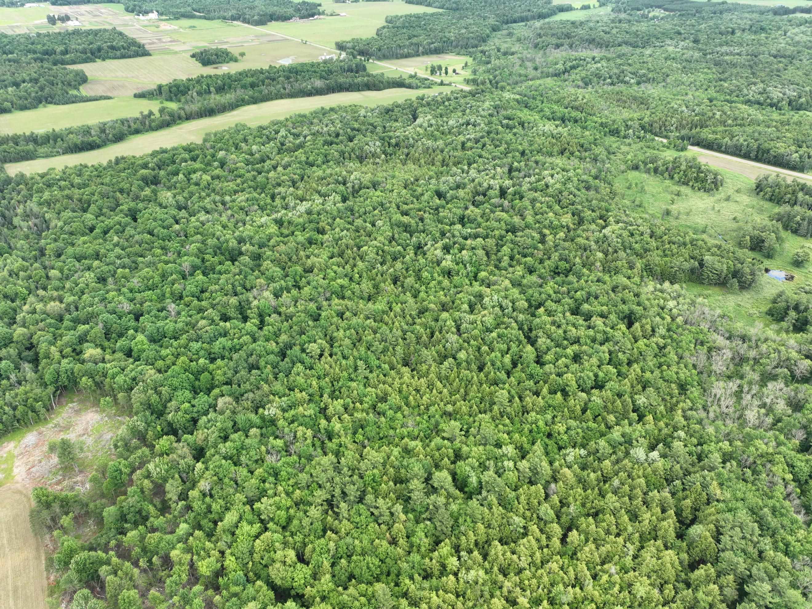 118.88-acres On County Rd O Wausau, WI 54401 - Photo 11 of 15