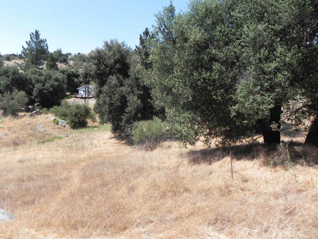 0 Arrowhead Trail Descanso, CA 91916 - Photo 5 of 10