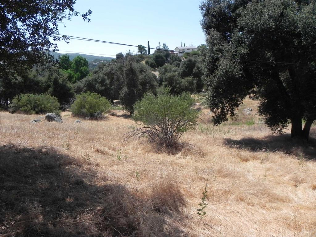 0 Arrowhead Trail Descanso, CA 91916 - Photo 6 of 10