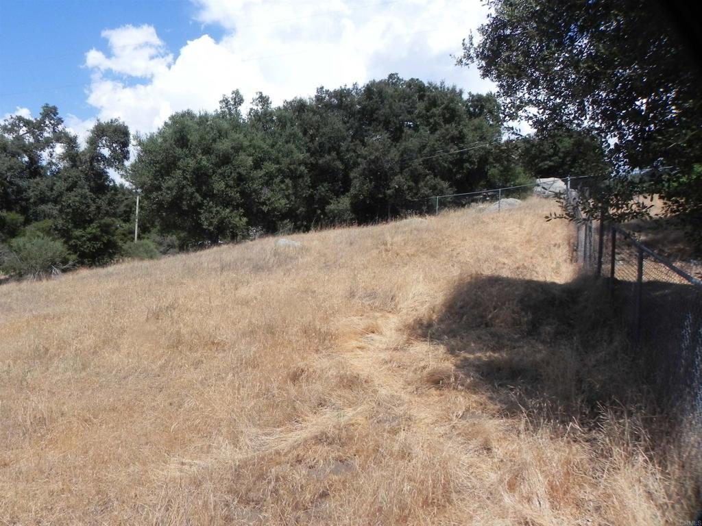 0 Arrowhead Trail Descanso, CA 91916 - Photo 8 of 10