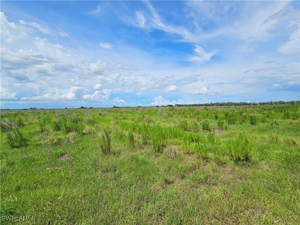Kirby Thompson Road LaBelle, FL 33935 - Photo 6 of 12 a view of yard with green space