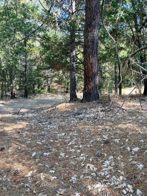 278 Highland Ranch Road Grants Pass, OR 97526 - Photo 4 of 8 gentle slope to original homesite, lightly wooded beautiful area
