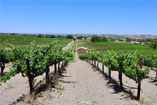 a view of a house with a yard and plants