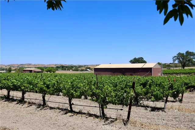 a group of painting on wall with a view