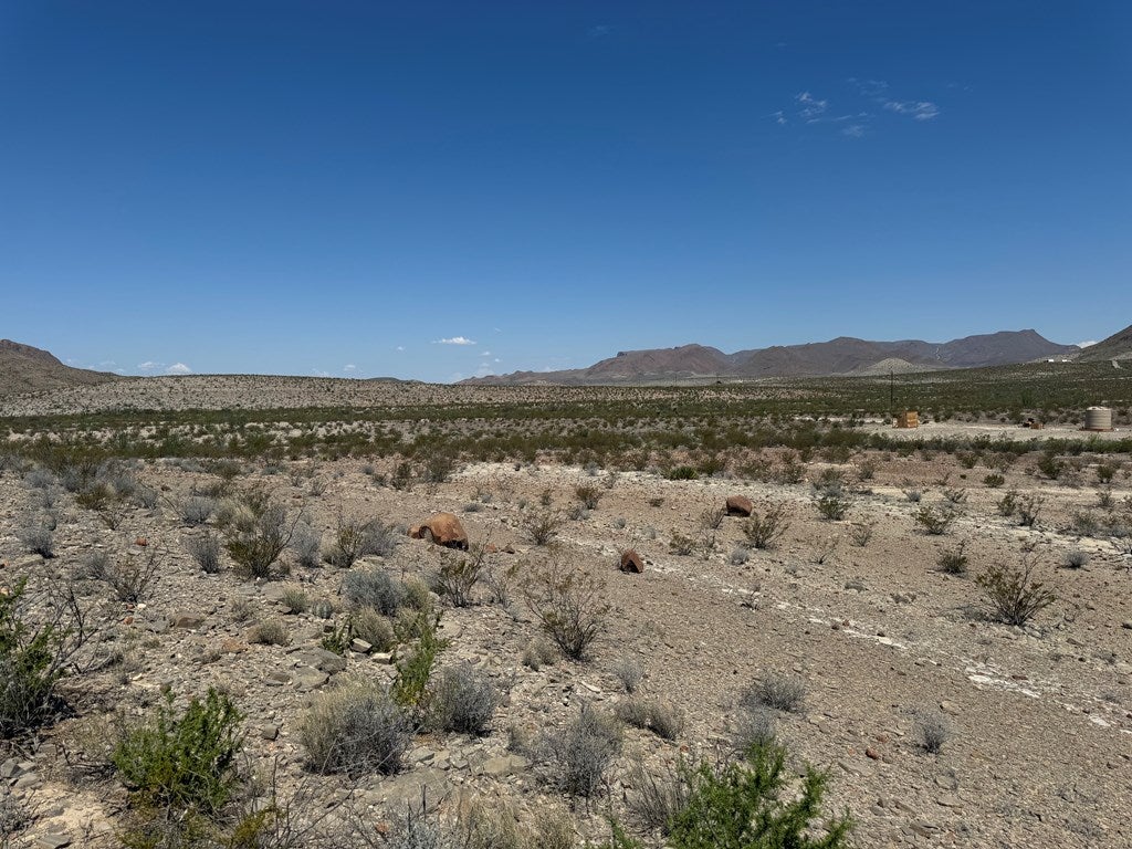 480 Doce Doe Path Alpine, TX 79830 - Photo 3 of 18 Looking East