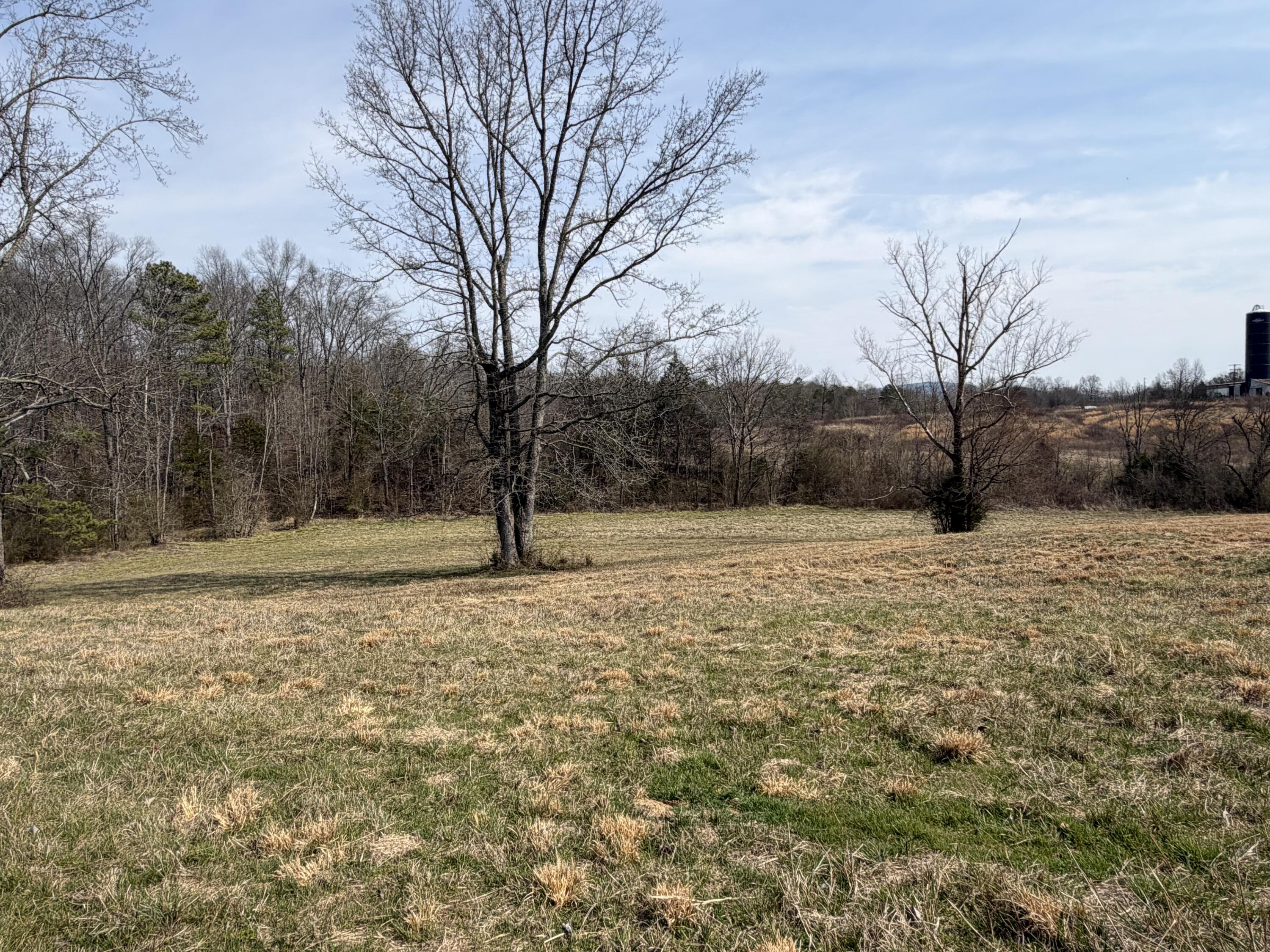 181 County Road 966 Calhoun, TN 37309 - Photo 5 of 18 IMG_9119