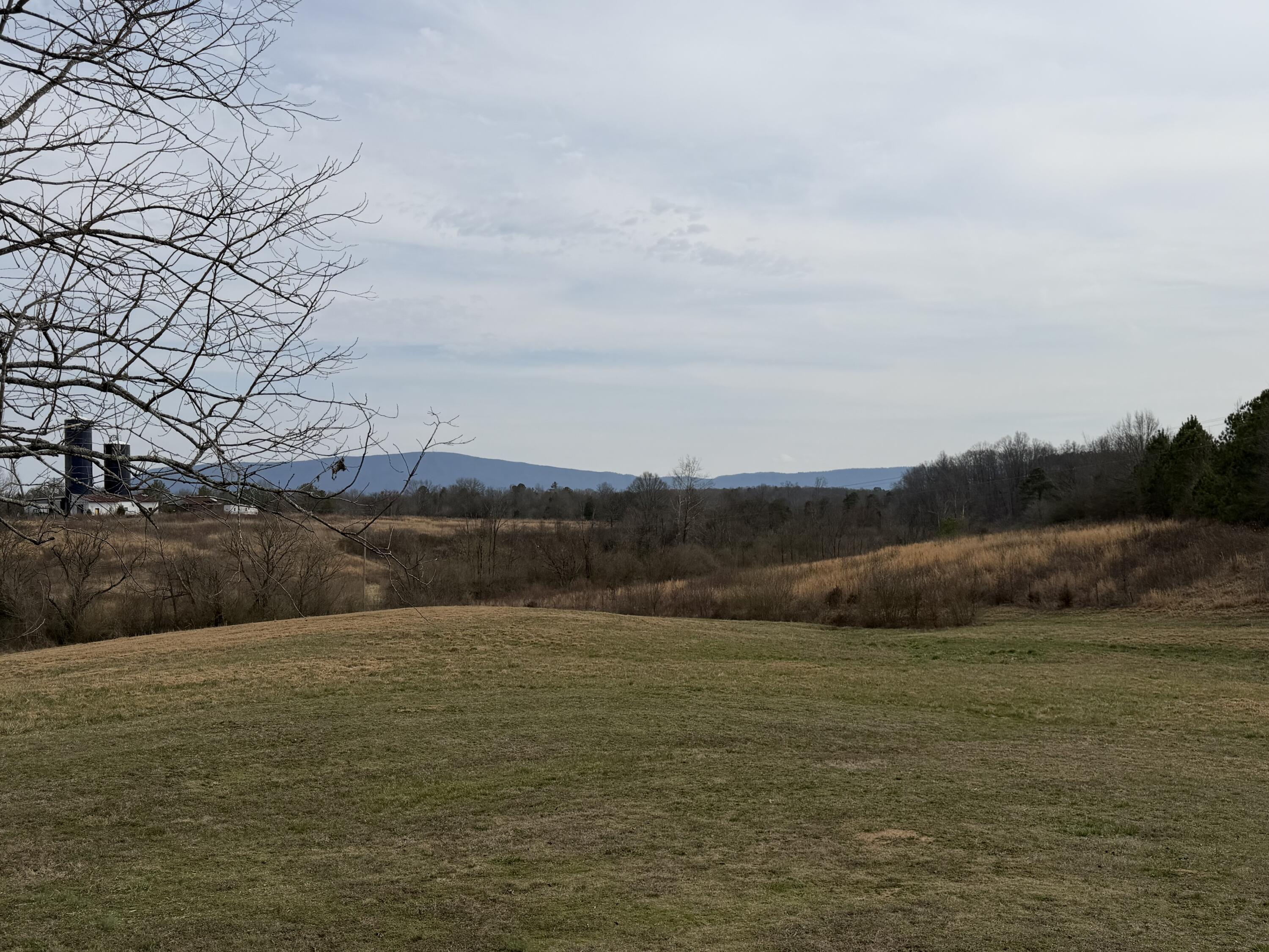 181 County Road 966 Calhoun, TN 37309 - Photo 6 of 18 IMG_9132