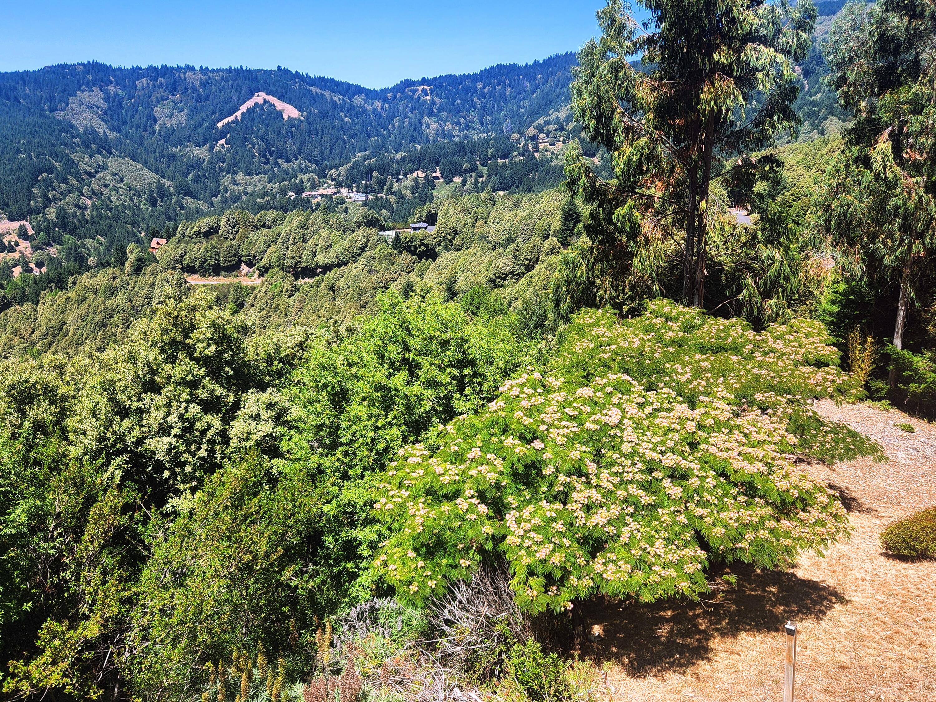 10 Telegraph Creek Road Whitethorn, CA 95589 - Photo 53 of 59