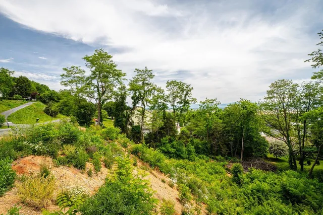 $55,000 | Tbd Valley View Drive, Mount Sidney, VA 24467