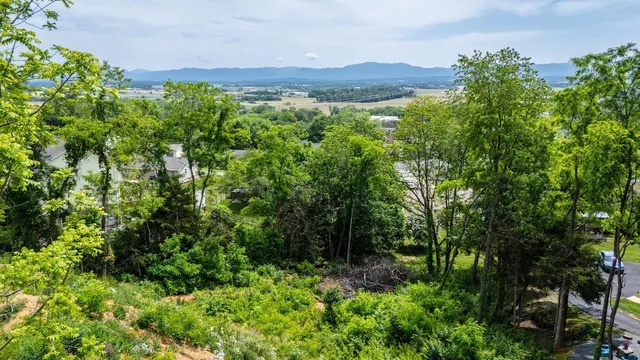 $55,000 | Tbd Valley View Drive, Mount Sidney, VA 24467