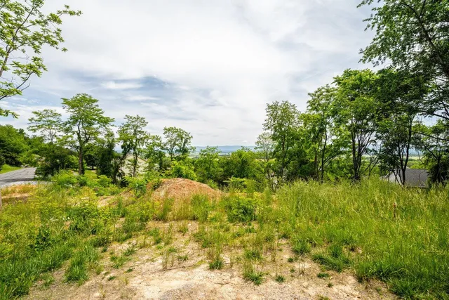 $55,000 | Tbd Valley View Drive, Mount Sidney, VA 24467