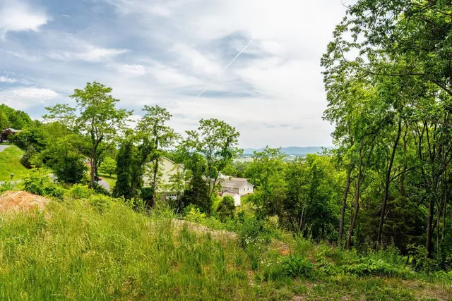 $55,000 | Tbd Valley View Drive, Mount Sidney, VA 24467