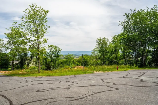 $55,000 | Tbd Valley View Drive, Mount Sidney, VA 24467