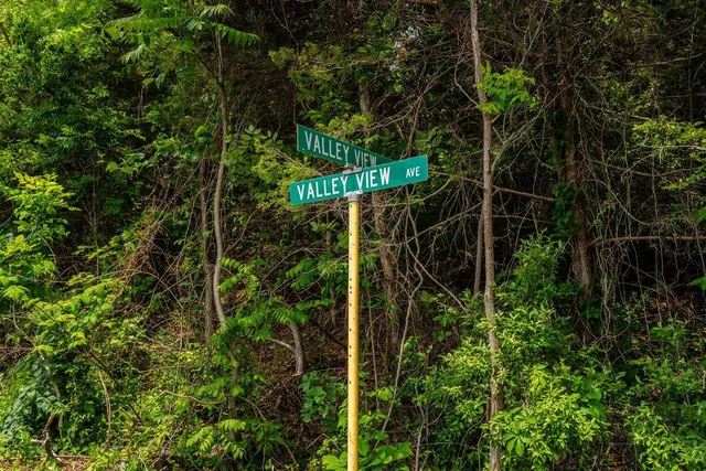 $55,000 | Tbd Valley View Drive, Mount Sidney, VA 24467