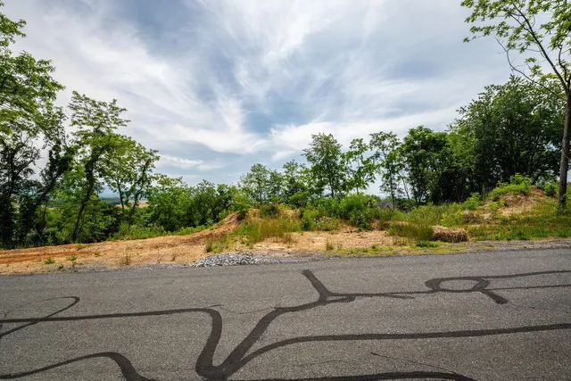 $55,000 | Tbd Valley View Drive, Mount Sidney, VA 24467