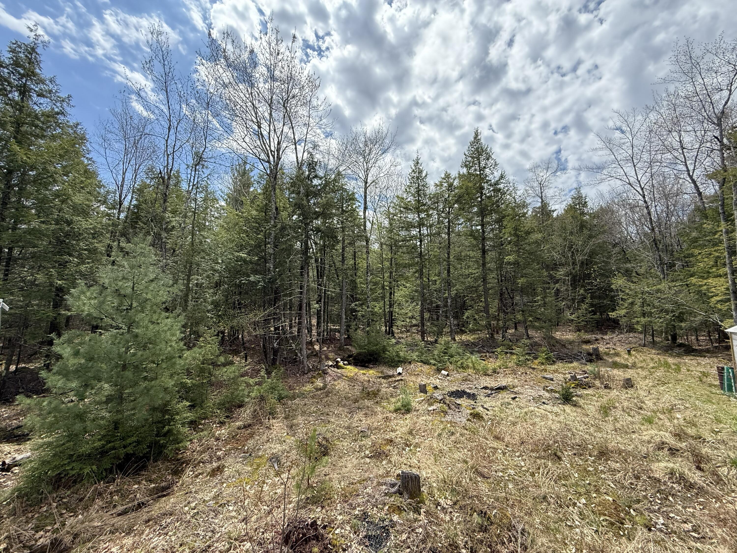 48 Highland Ridge Hollis Center, ME 04042 - Photo 46 of 61 IMG_5275