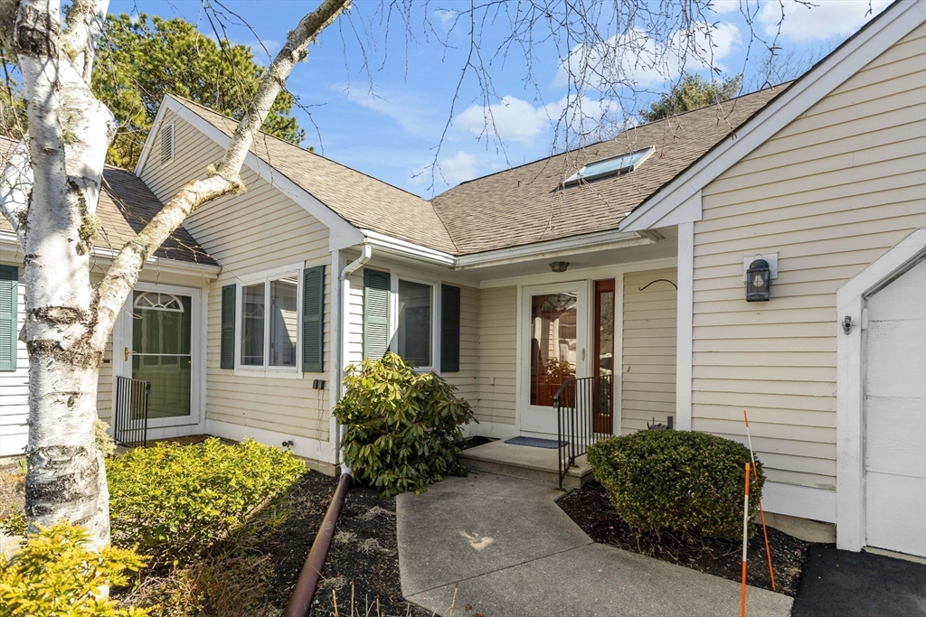a view of a house with potted plants