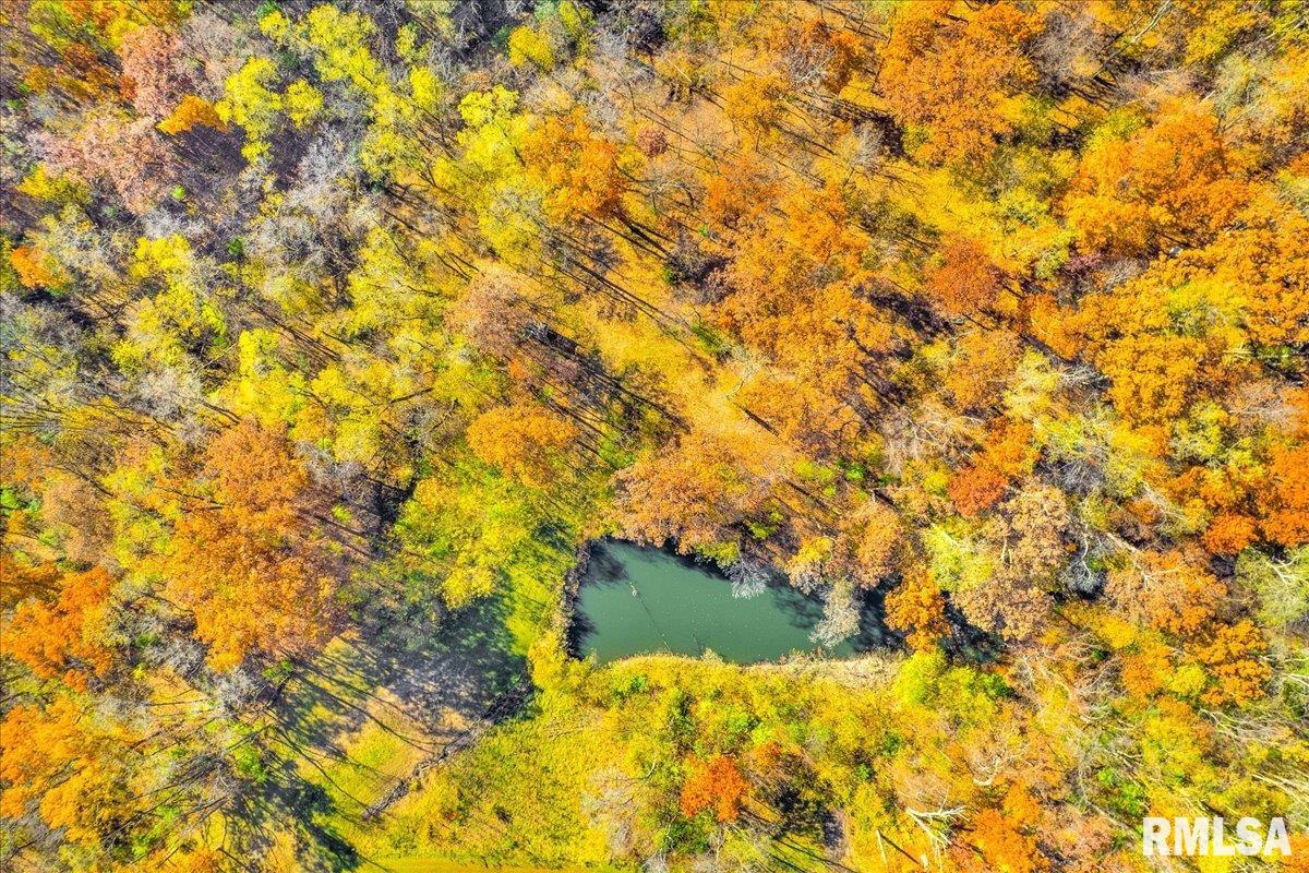 20915 North Blue Ridge Road Chillicothe, IL 61523 - Photo 60 of 70