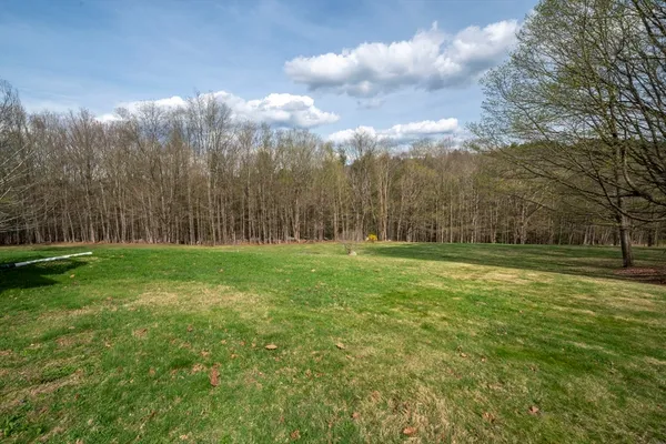 a view of a green field