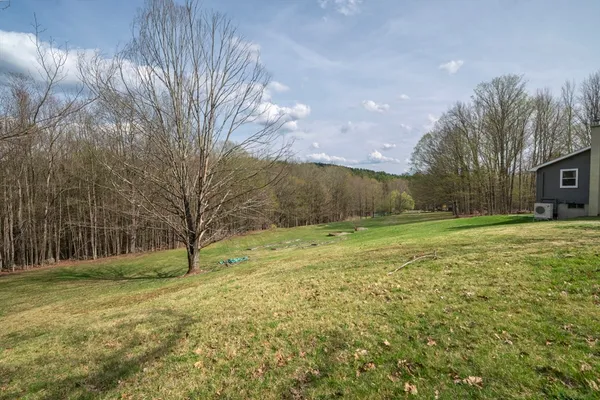 a view of a field with trees