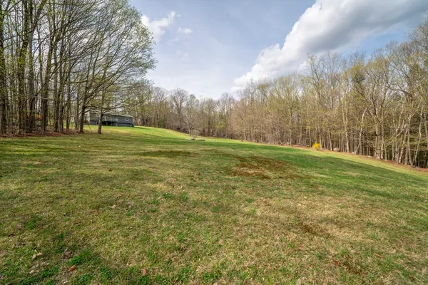 a big yard with lots of green space and trees