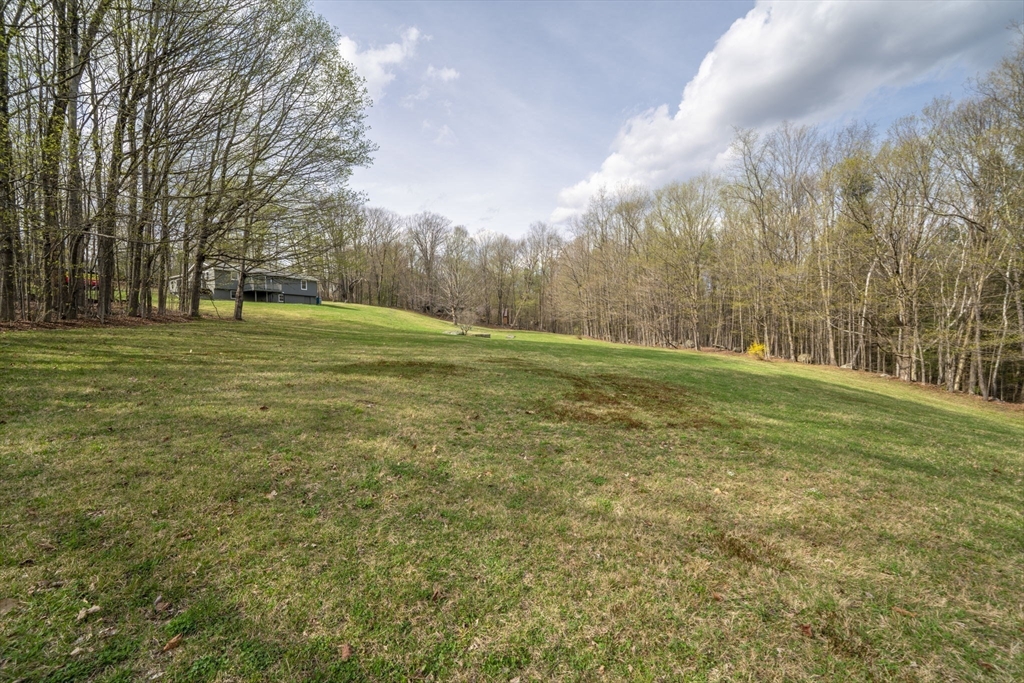 67 Bromley Road Huntington, MA 01050 - Photo 10 of 34 a big yard with lots of green space and trees