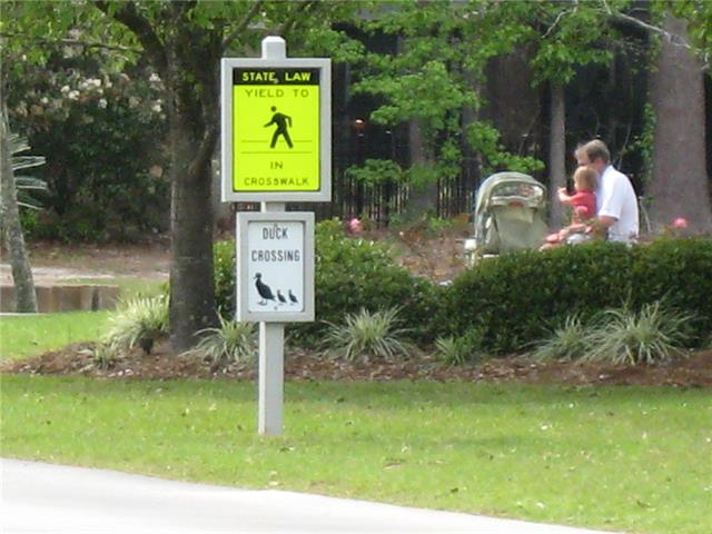 56 Trace Loop Mandeville, LA 70448 - Photo 23 of 27