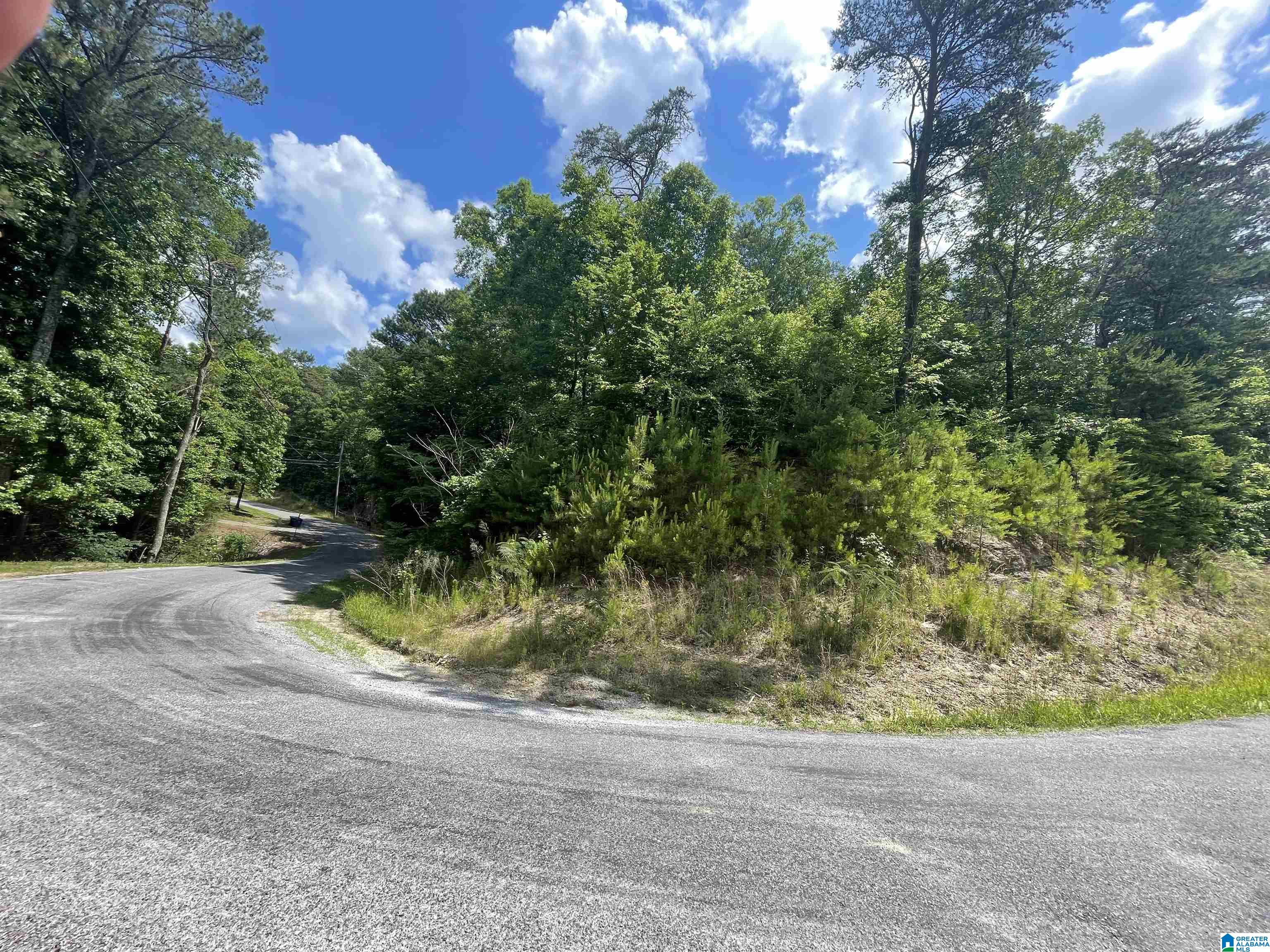 0 Lakeshore Lane, Unit 4 Oneonta, AL 35121 - Photo 10 of 49