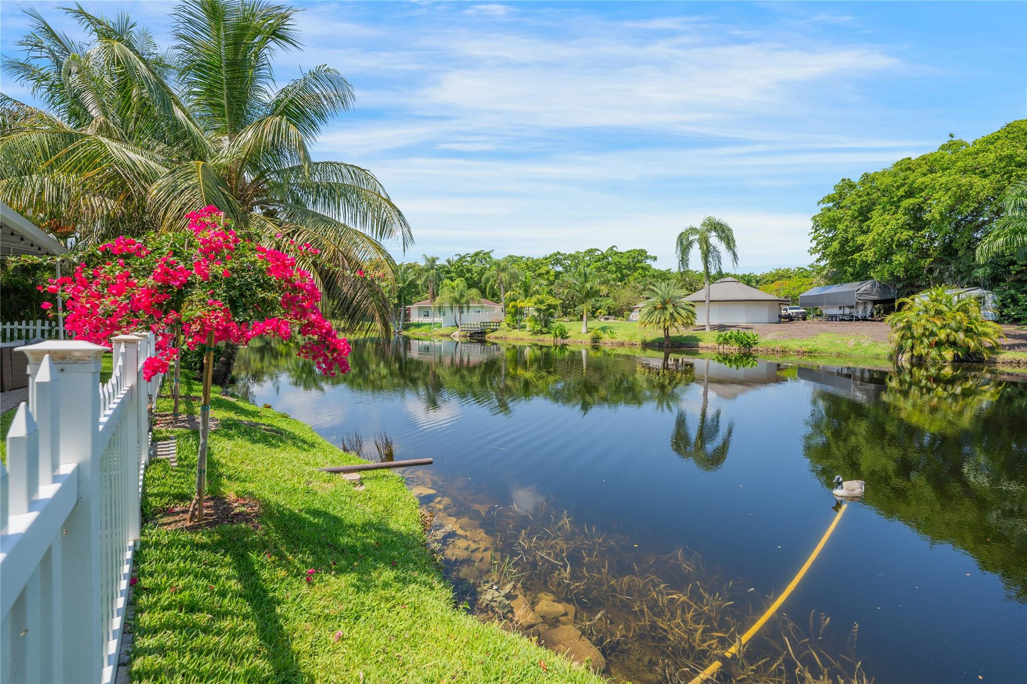 741 Mockingbird Lane Plantation, FL 33324 - Photo 50 of 59 a view of a garden with plants and large trees