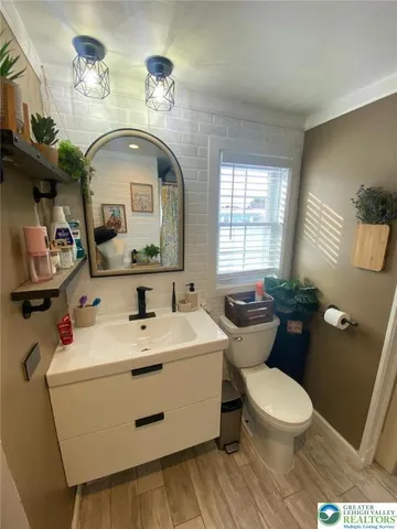 a bathroom with a sink a toilet and mirror