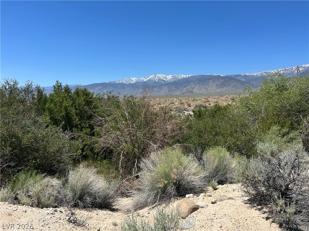 360 Mountain Creek Road Dyer, NV 89010 - Photo 23 of 23 Expansive desert vistas meet majestic snow-capped mountain backdrops.