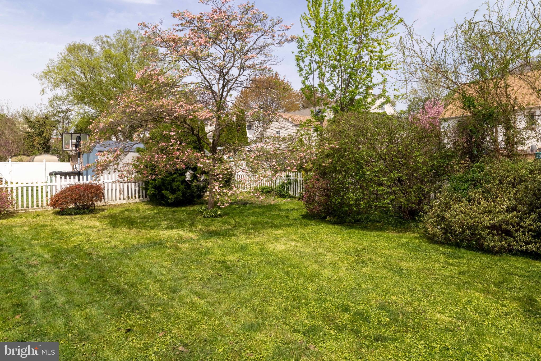 833 Emerson Street Philadelphia, PA 19111 - Photo 25 of 31 View of Backyard and Landscaping