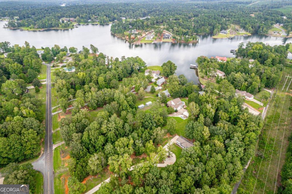 281 Jule Ingram Road Milledgeville, GA 31061 - Photo 70 of 79 a view of a lake from a yard