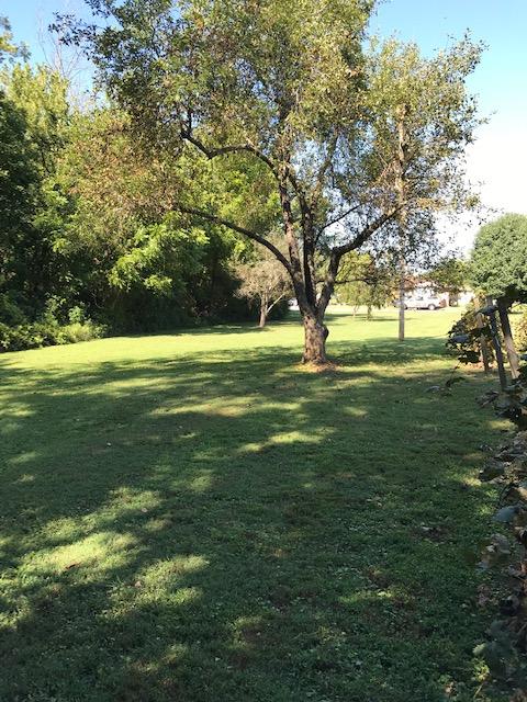 7325 Betenia Road Powell, TN 37849 - Photo 5 of 19 IMG_0018